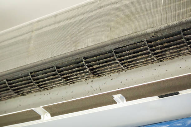 Best Air Duct Inspection  in Baxter, MN
